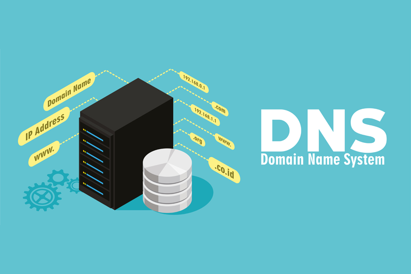 All About The DNS Domain Name System